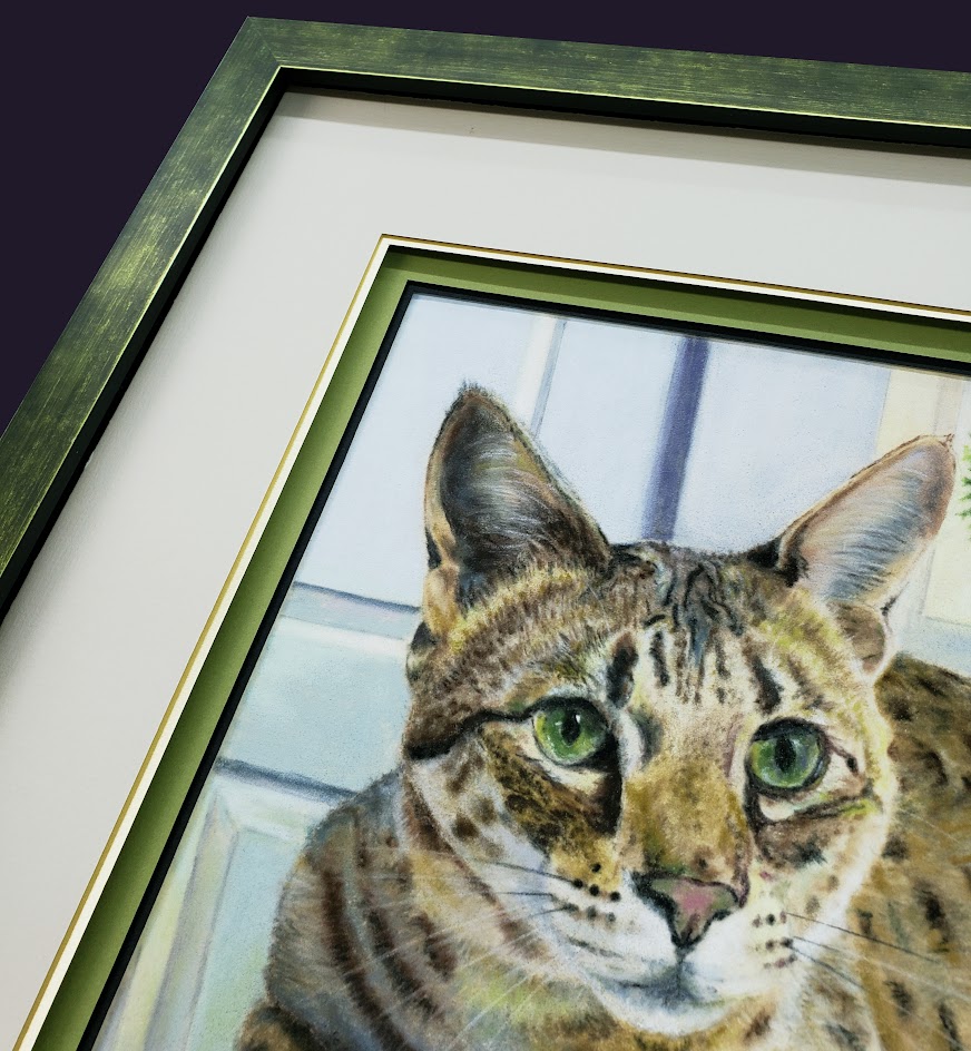 Chat au pastel