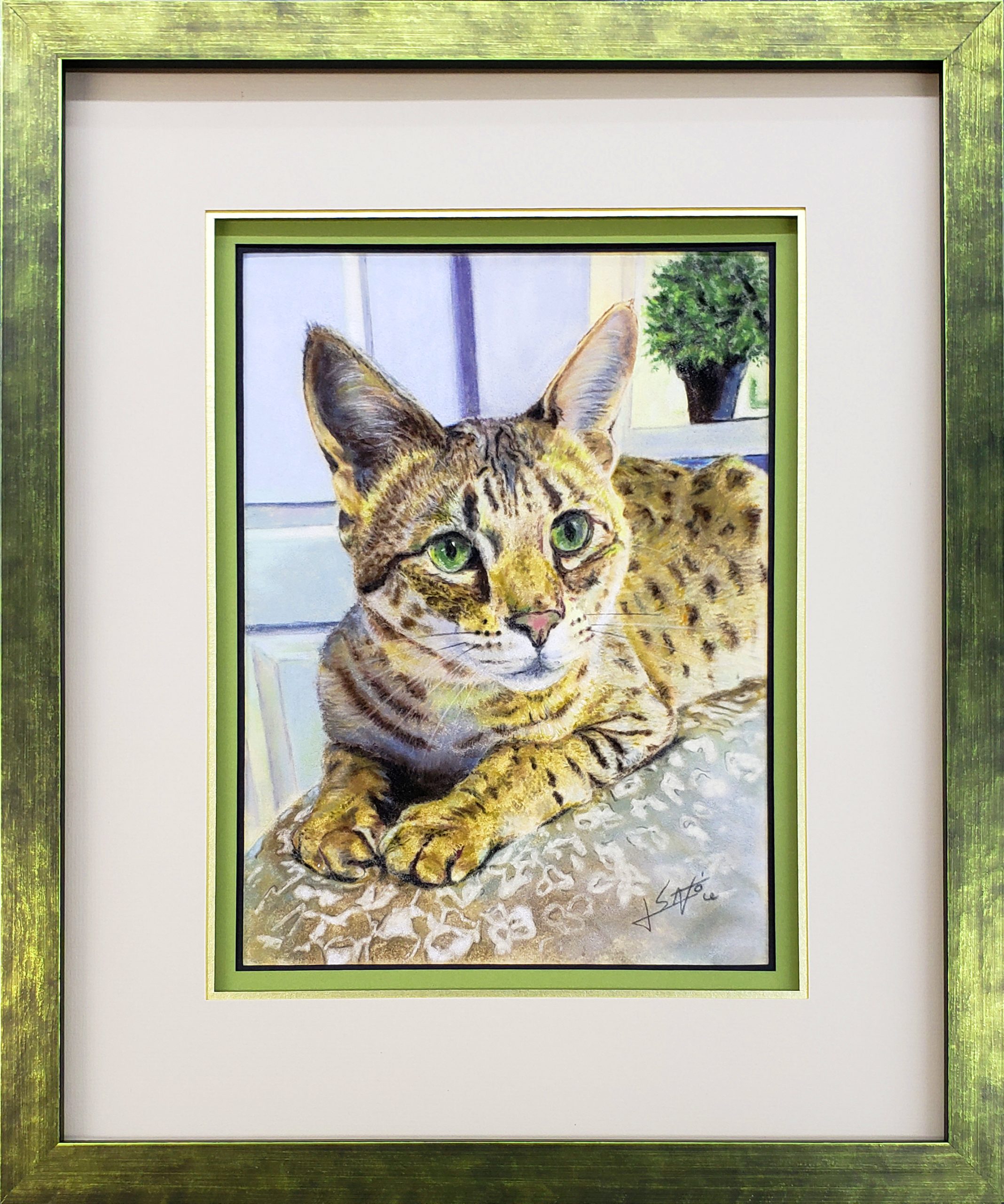 Chat au pastel